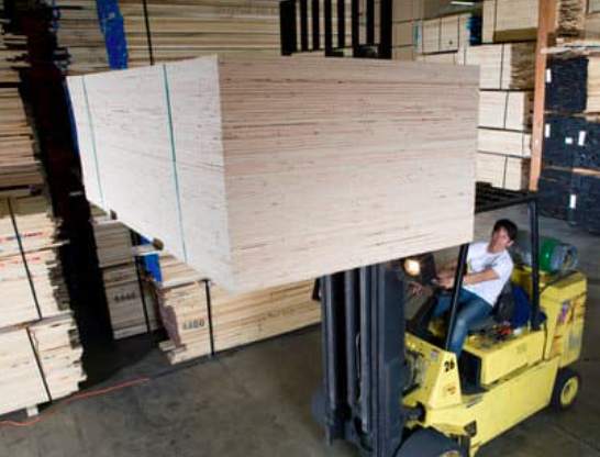 Wholesale Douglas Fir Log For Quality Floors And Surfaces