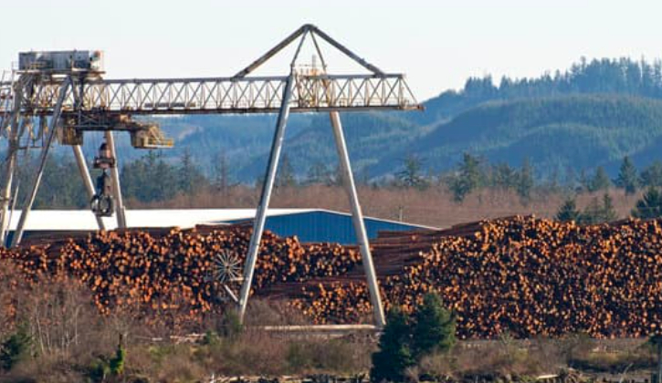 this image shows douglas fir framing